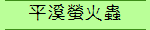 平溪螢火蟲